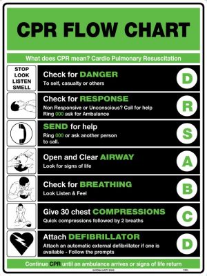 CPR Flow Chart
