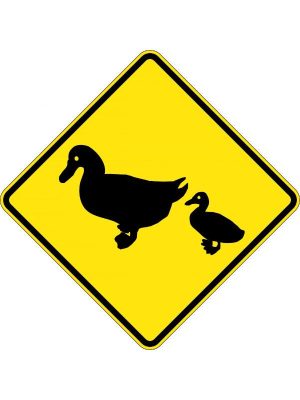 Ducks Picto