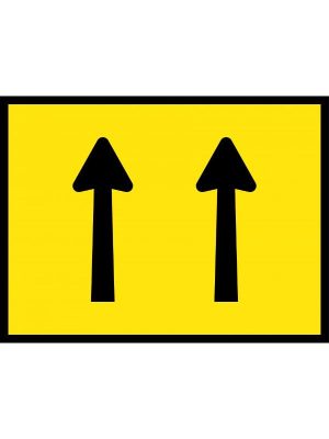 Lane Status (2 Lane With Magnetic T)