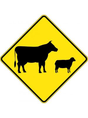 Stock Ahead