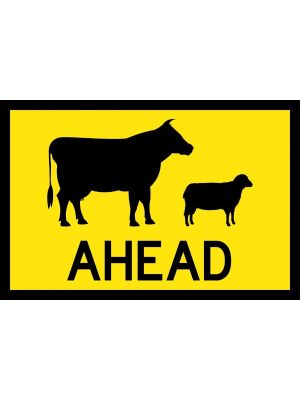 (Symbolic Stock Picto) Ahead