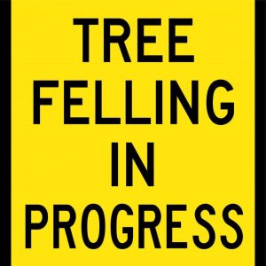 Tree Felling In Progress