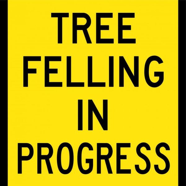 Tree Felling In Progress