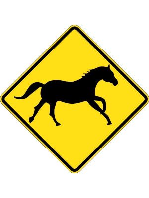Wild Horses Picto